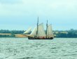 Begleitendes Segelschiff im Als Fjord